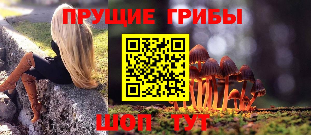 Галлюциногенные грибы Cubensis  Вход с VPN  Элиста 